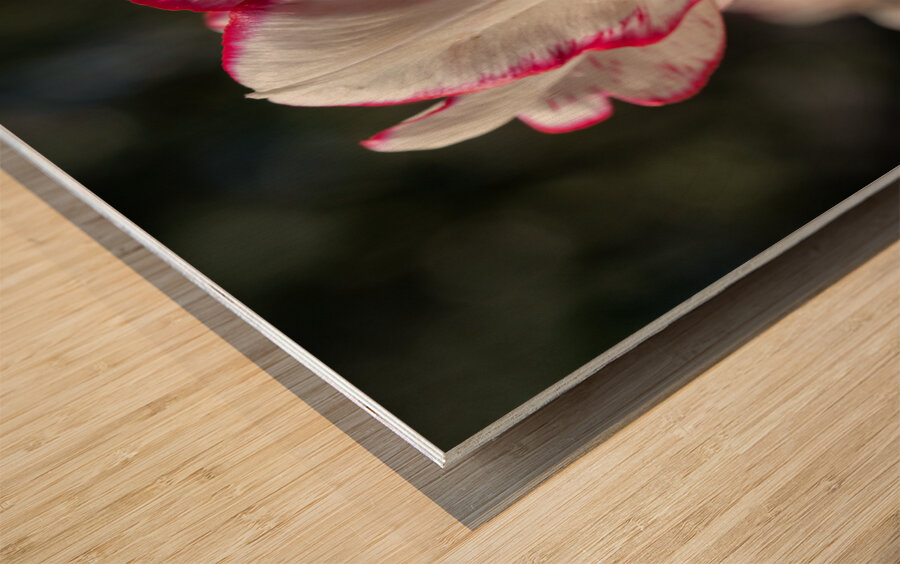 Classy One Wood print