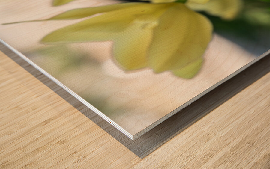 Dreamlike Wood print