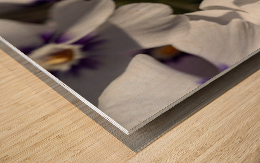 Pretty Nice Wood print