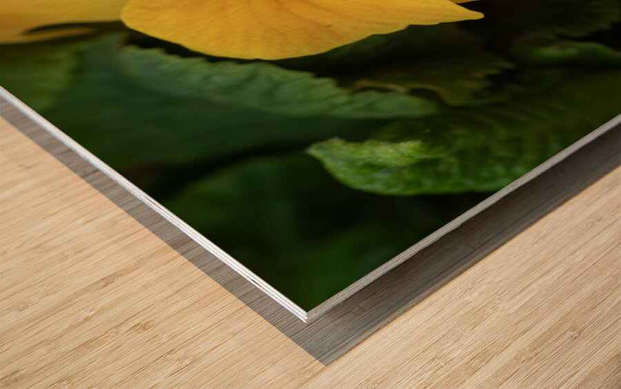 Call me Viola Wood print