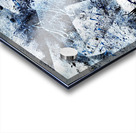 FEB 024 Acrylic print