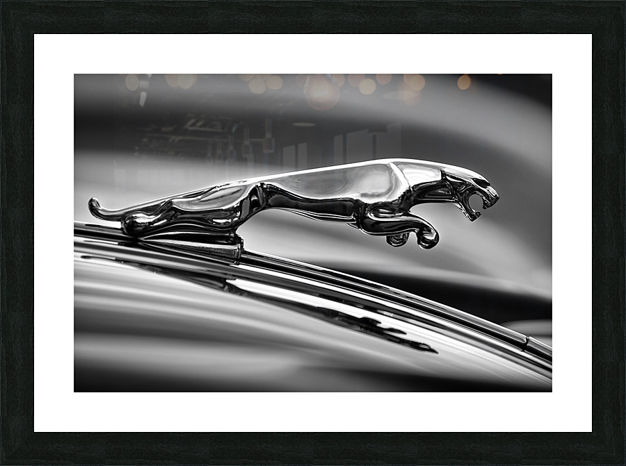 Leaping Cat Picture Frame print