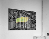 Changing Acrylic Print