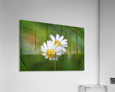 Connect With Things Around You Acrylic Print