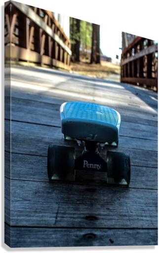 Penny Board Canvas Print