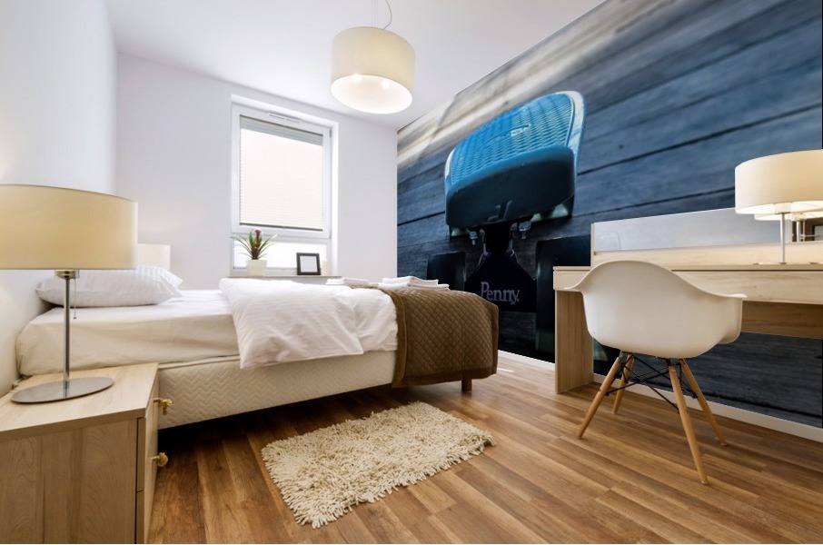 Penny Board Mural print