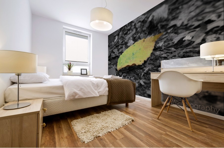 Changing Mural print