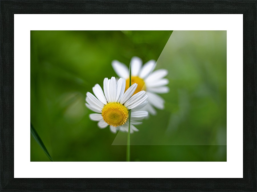 Connect With Things Around You Picture Frame print