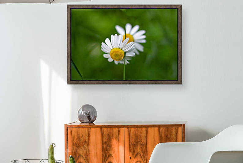 Connect With Things Around You by JDWPhotography