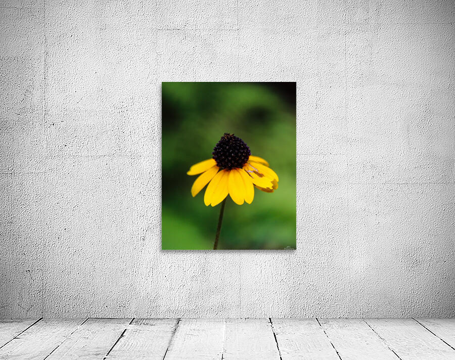 Lone Yellow Flower  Wall Preview