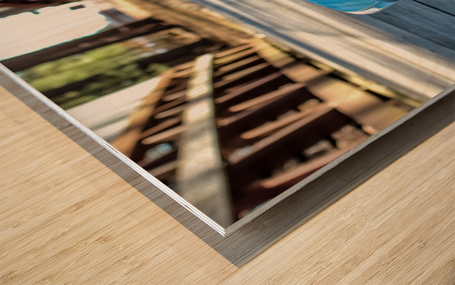 Penny Board Wood print