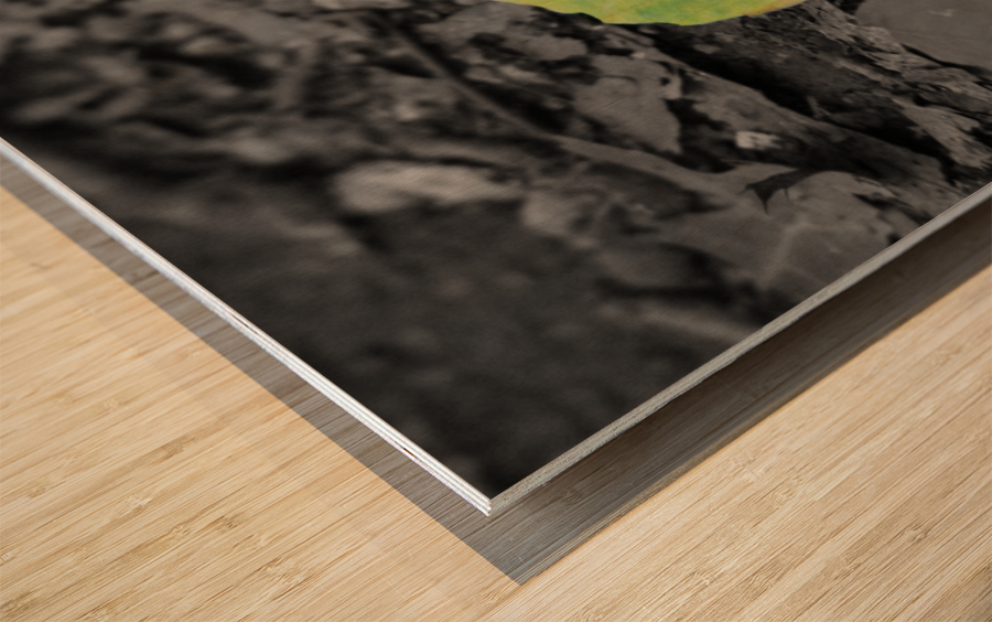 Changing Wood print