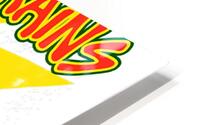 Bad Brains 12 HD Metal print