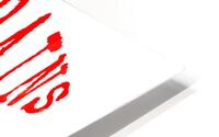 Bad Brains 31 HD Metal print