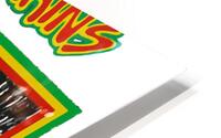 Bad Brains 36 HD Metal print