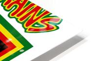 Bad Brains 42 HD Metal print