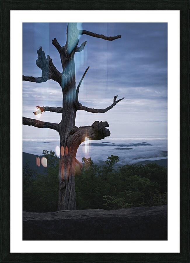 Moody  Picture Frame print