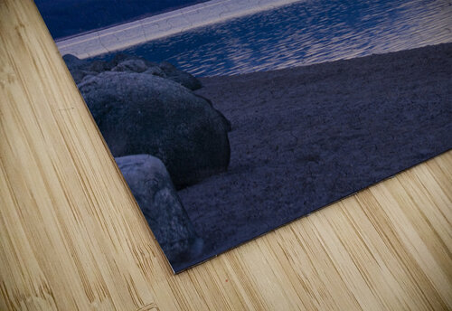 Sunrise Emily Castro puzzle