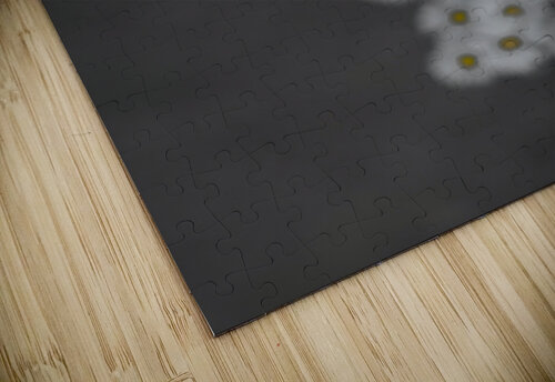 Happiness Emily Castro puzzle