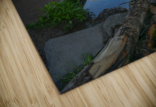 Reflections Emily Castro puzzle