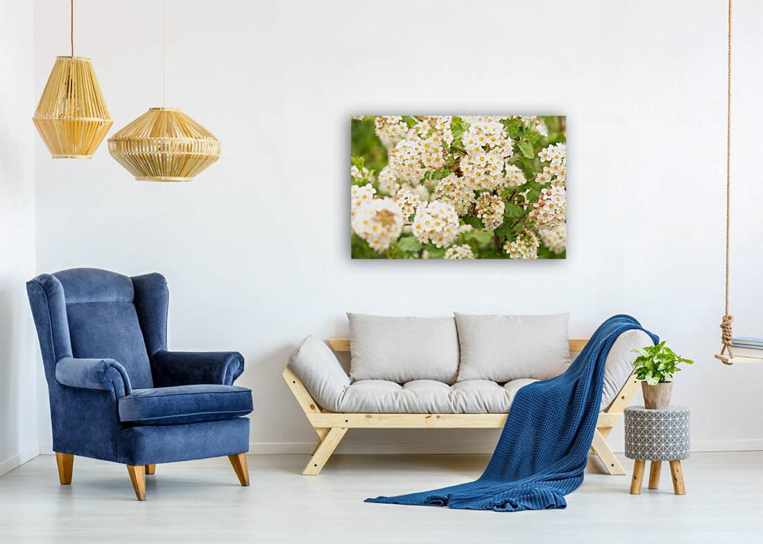 Flowers Reproduction