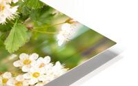 Flowers HD Metal print