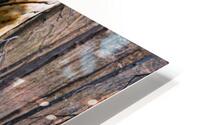 Burnt Tree  HD Metal print