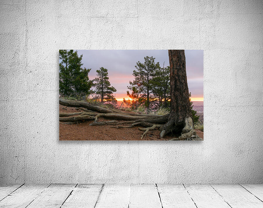 Sunrise Hike Wall Preview