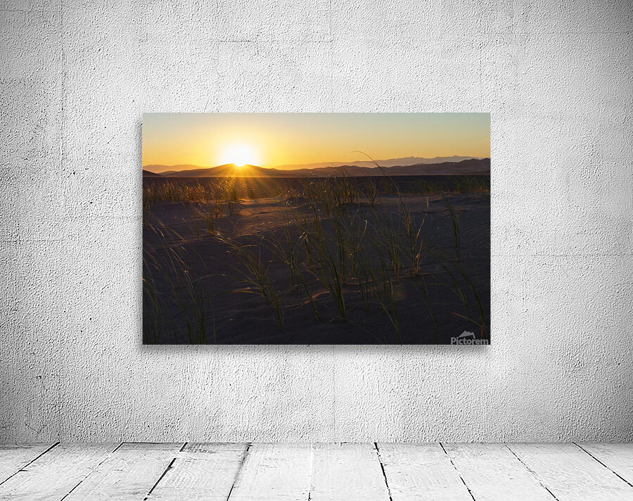 Sand Dunes Sunset Wall Preview