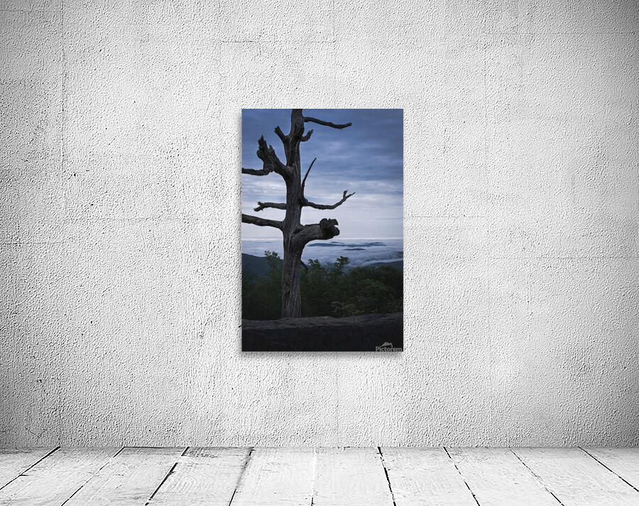 Moody  Wall Preview