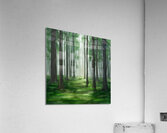Magnificent forests Acrylic Print