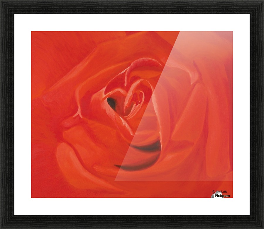 A rose for you. Picture Frame print