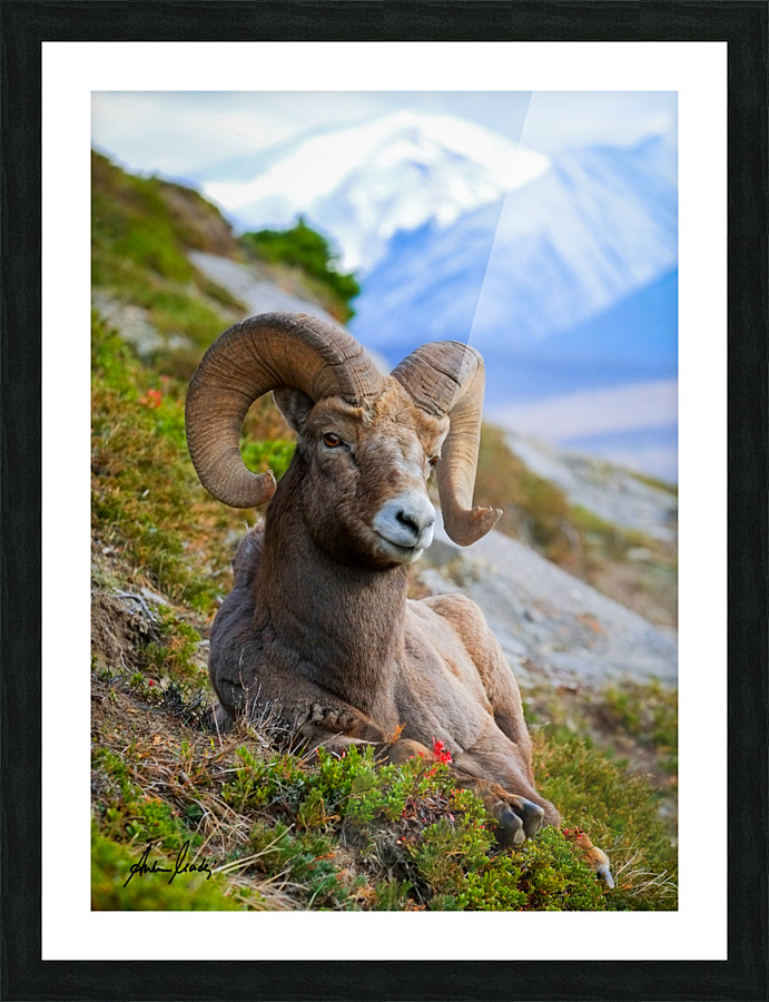 Strike the Pose Picture Frame print