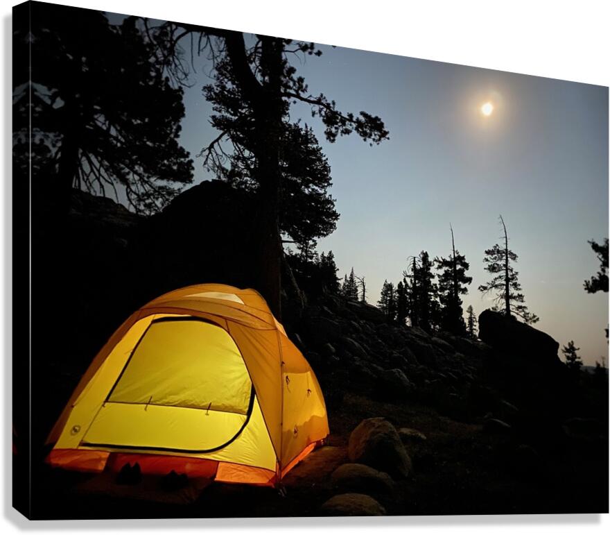 IMG 9887 Canvas Print