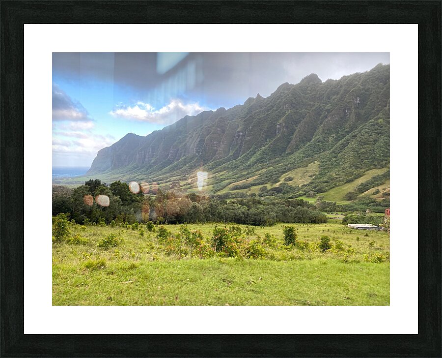 IMG 7697 Picture Frame print