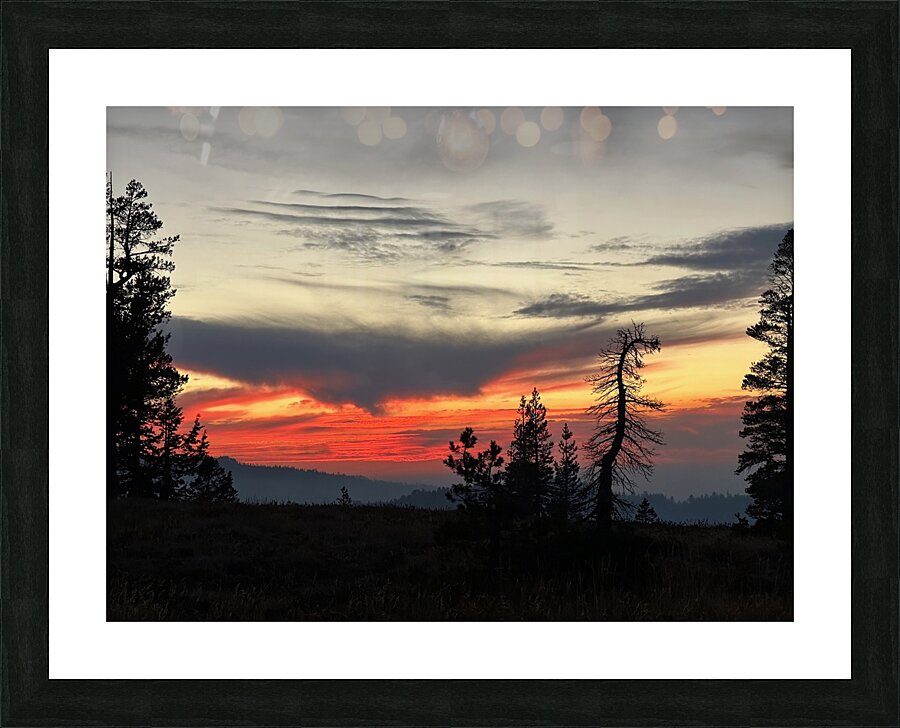 IMG 4145 1 Picture Frame print