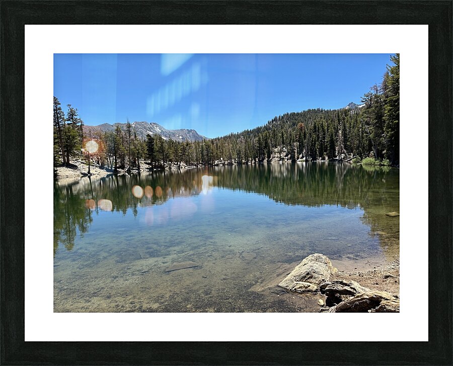 IMG 5108 Picture Frame print