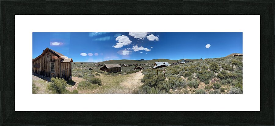 IMG 5049 Picture Frame print