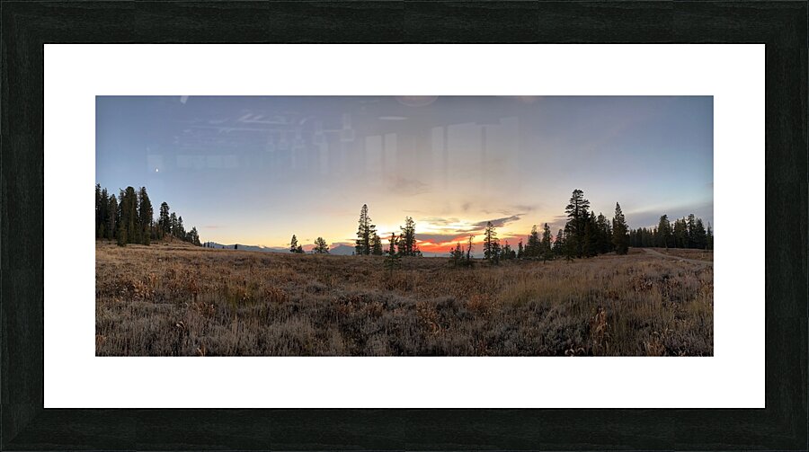 IMG 4144 Picture Frame print