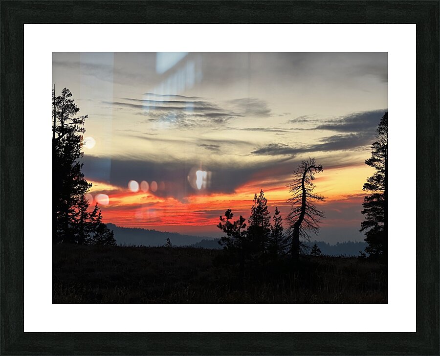 IMG 4145 Picture Frame print