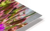 IMG 4550 HD Metal print