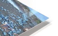 IMG 4647 HD Metal print