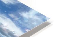 IMG 8226 HD Metal print
