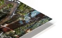 IMG 4074 HD Metal print