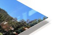 IMG 5108 HD Metal print