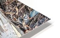 IMG 1102 HD Metal print