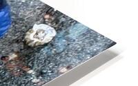 IMG 4651 HD Metal print