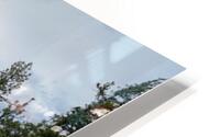 IMG 8236 HD Metal print