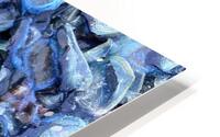 IMG 4648 HD Metal print