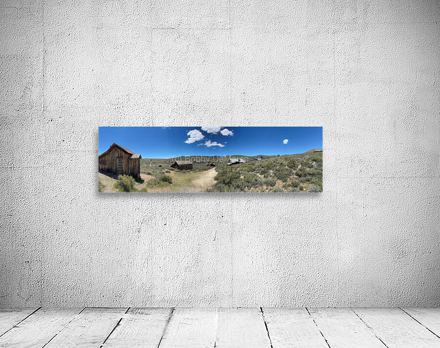 IMG 5049 Wall Preview